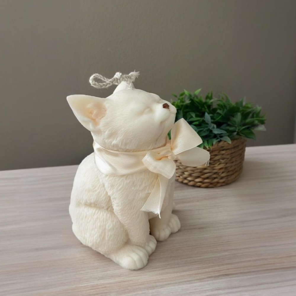 Smile Cat Silicone Mold for DI - Soap Making Gifts 评论和价格