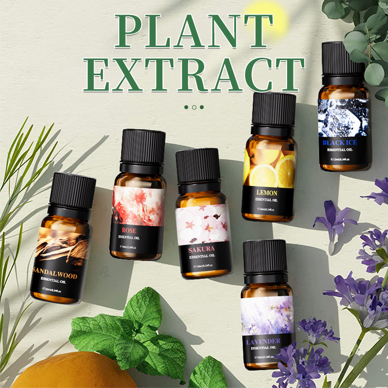 6Pcs 10ml Fragrance Essential  - Soap Making Kit For Beginners 评论和价格